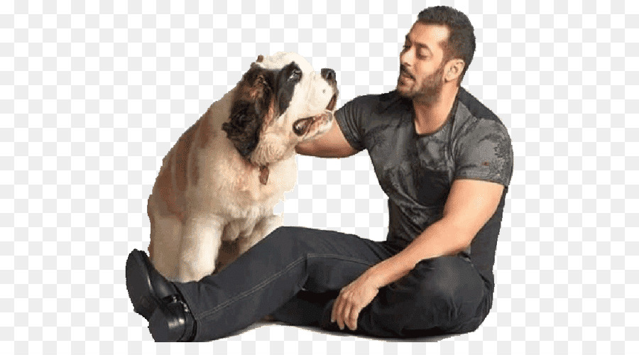 Homme Avec Chien，Animal De Compagnie PNG