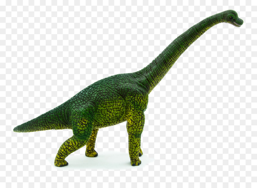Brachiosaure，Stegosaurus PNG