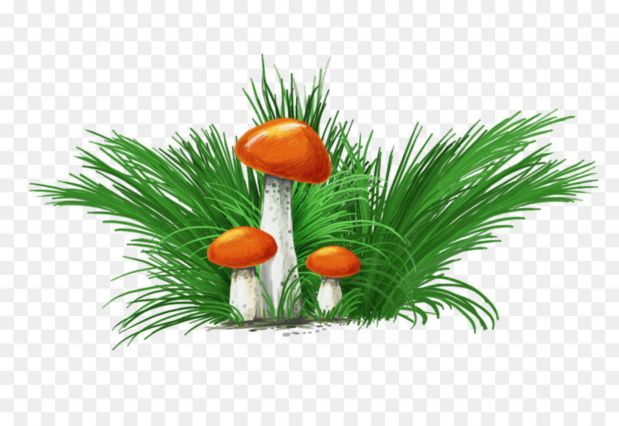 Champignons，Nature PNG