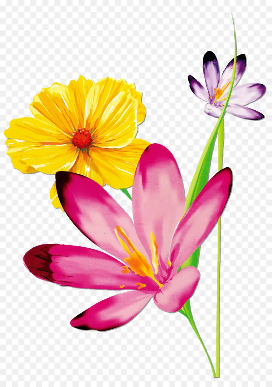 Fleur，Beau Papillon PNG