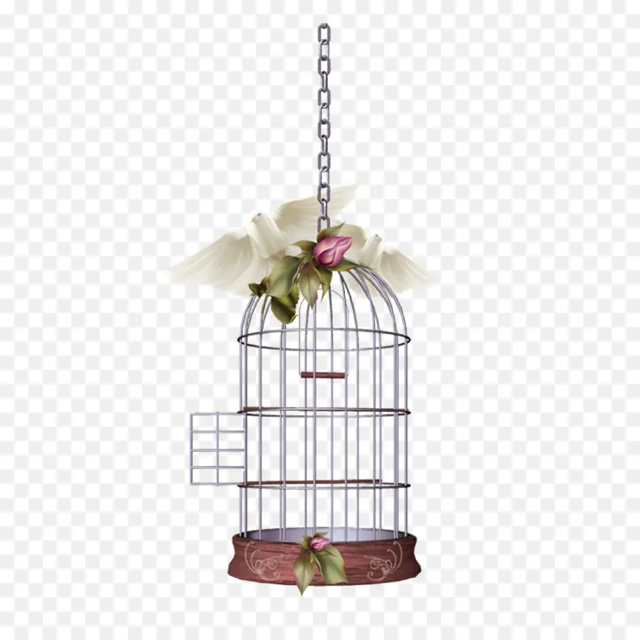 Cage à Oiseaux Décorative，Fleurs PNG