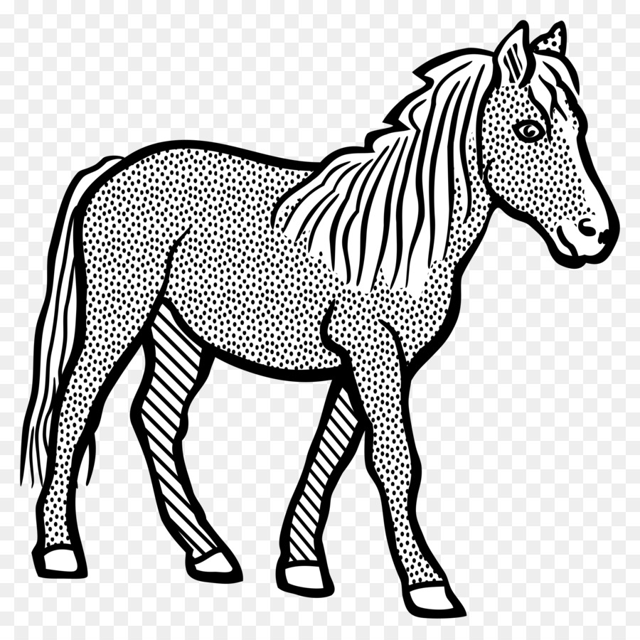 Cheval，Mule PNG