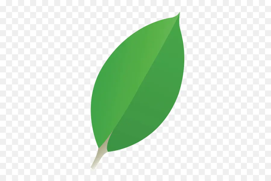 Feuille Verte，Usine PNG