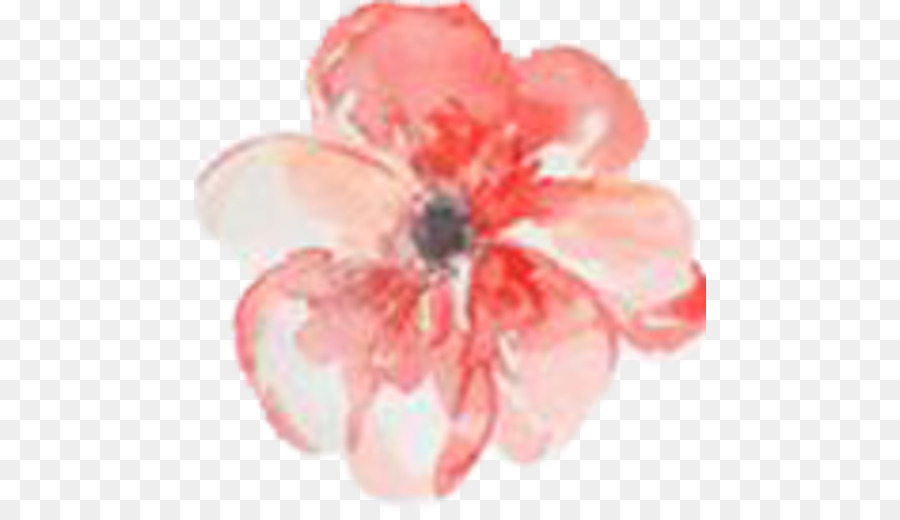 Fleur Rose，Aquarelle PNG