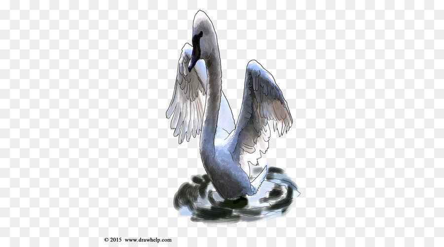 Pelican，Les Canards Des Oies Et Des Cygnes PNG