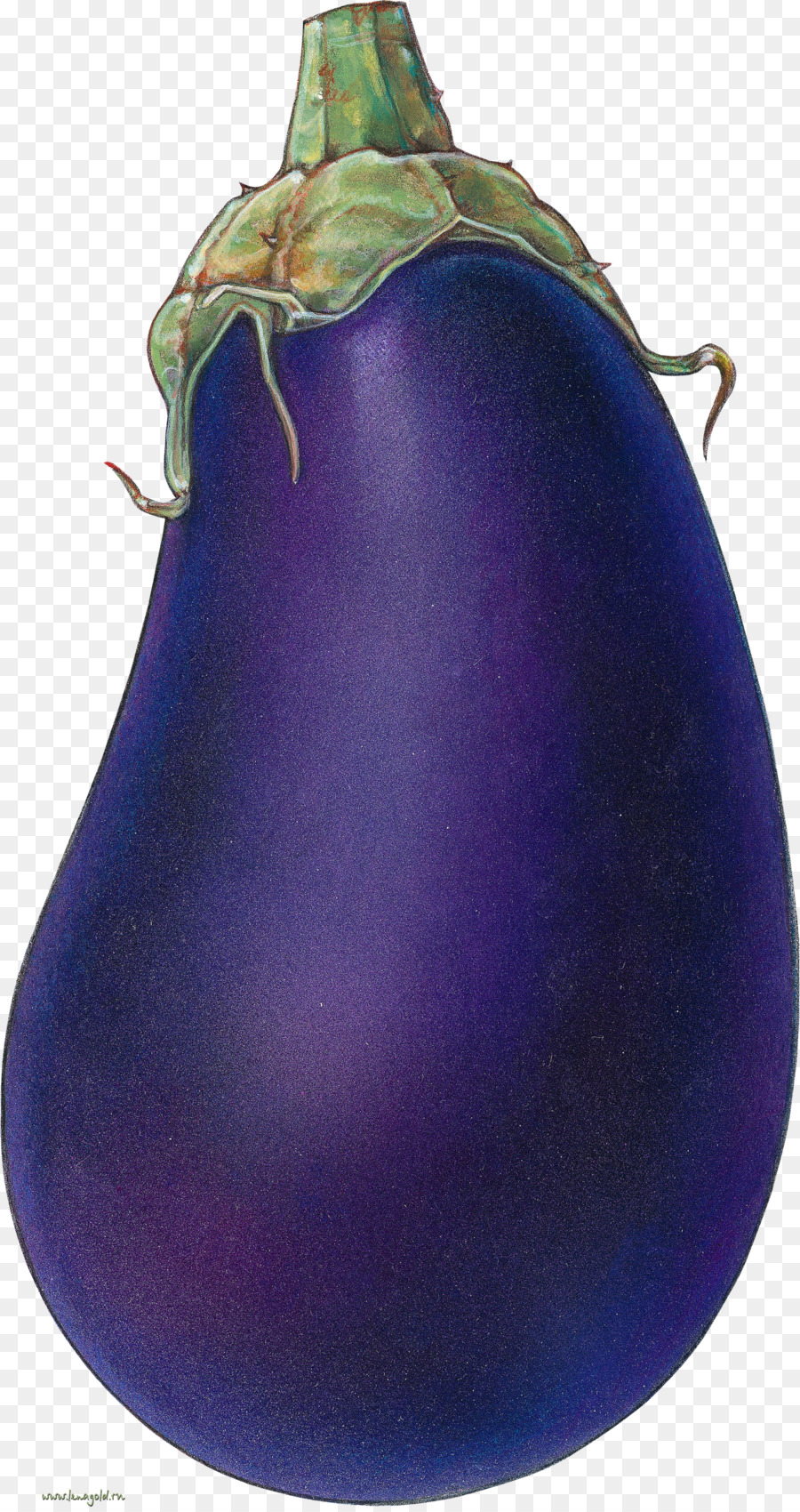 Aubergine Violette，Légume PNG