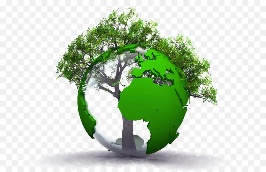 Environnement Naturel，La Protection De L Environnement PNG