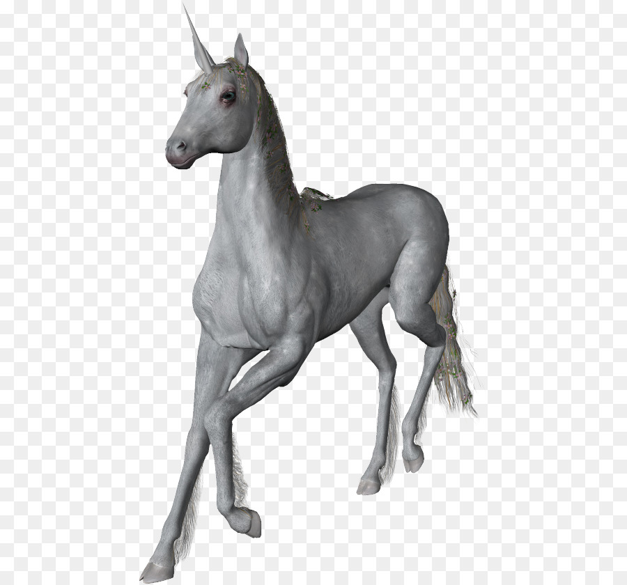 Licorne，Mythique PNG