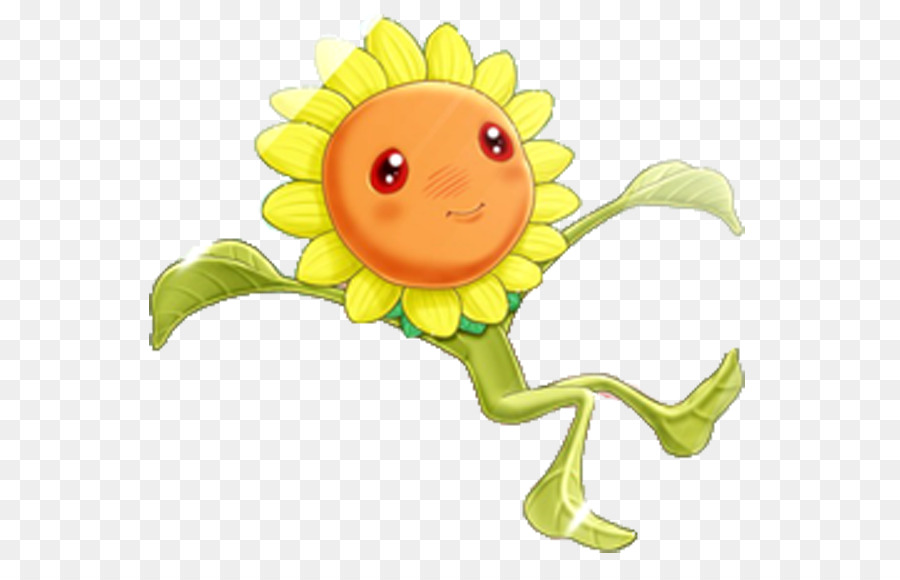 Tournesol，Fleur PNG