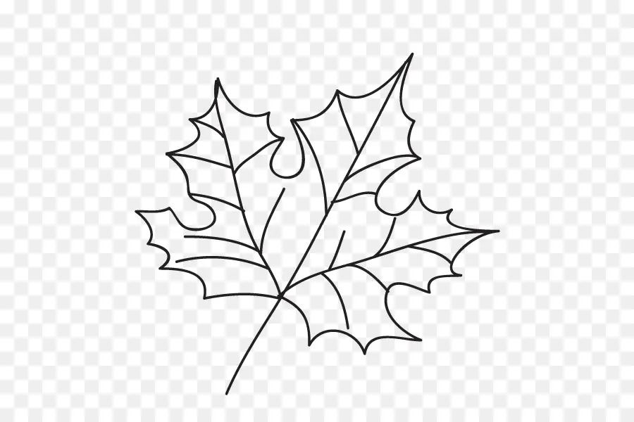 Feuille，Contour PNG