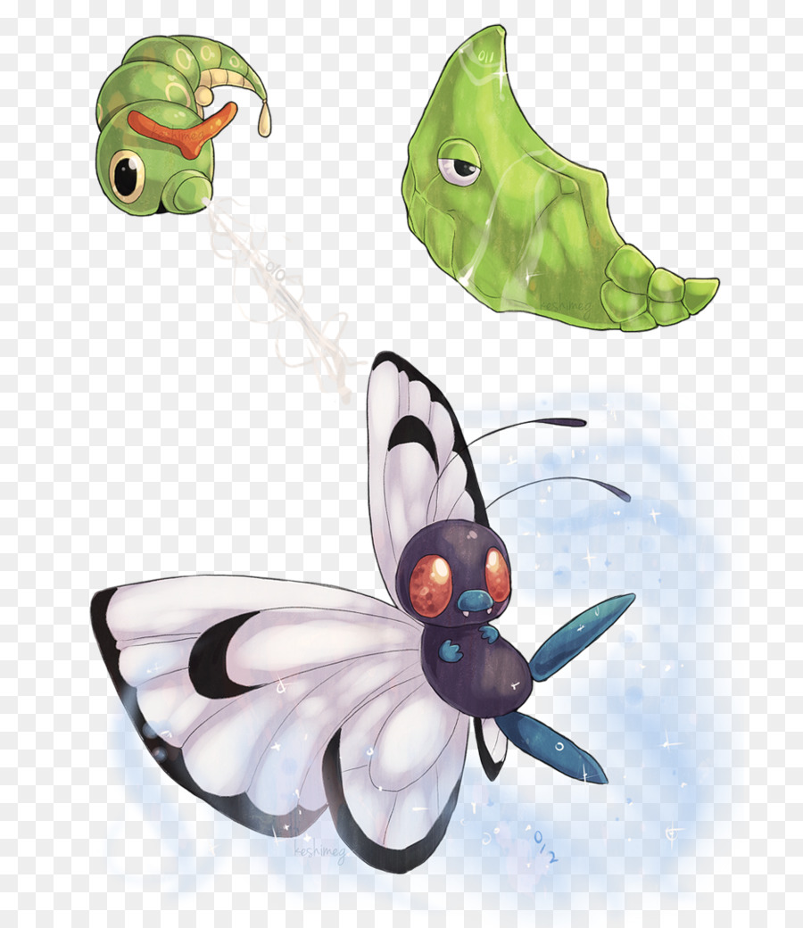 Papillon，Insecte PNG