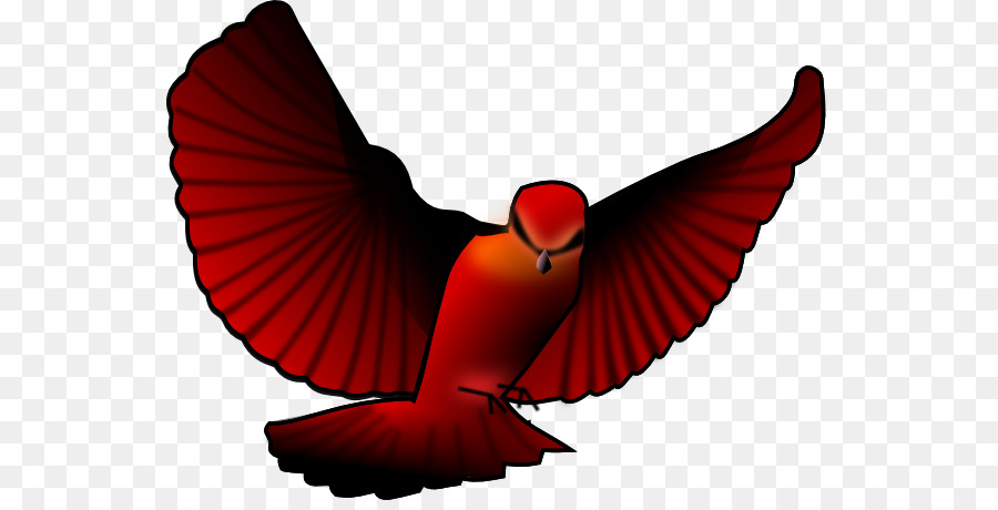 Oiseau Noir，Ailes PNG