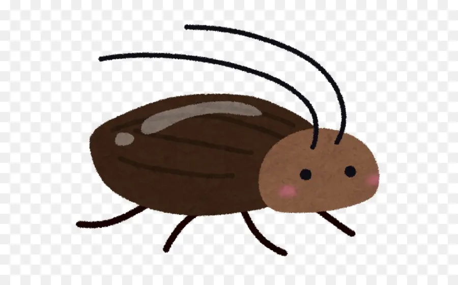 Cafard De Dessin Animé，Insecte PNG