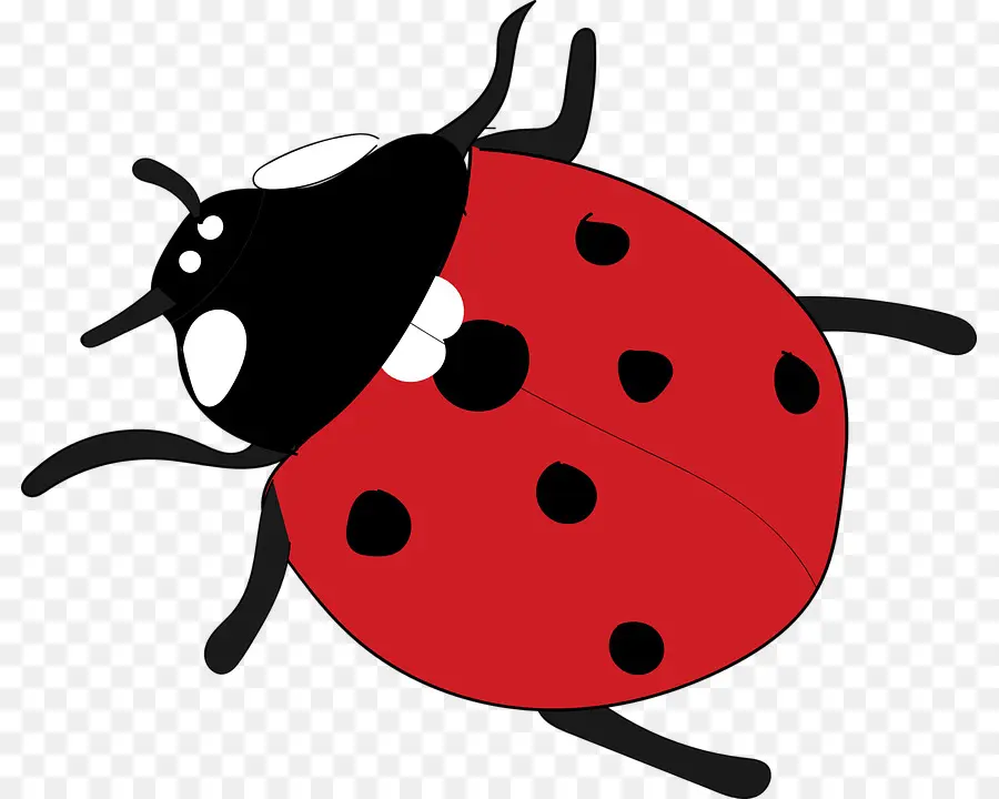 Triste Coccinelle，Rouge PNG