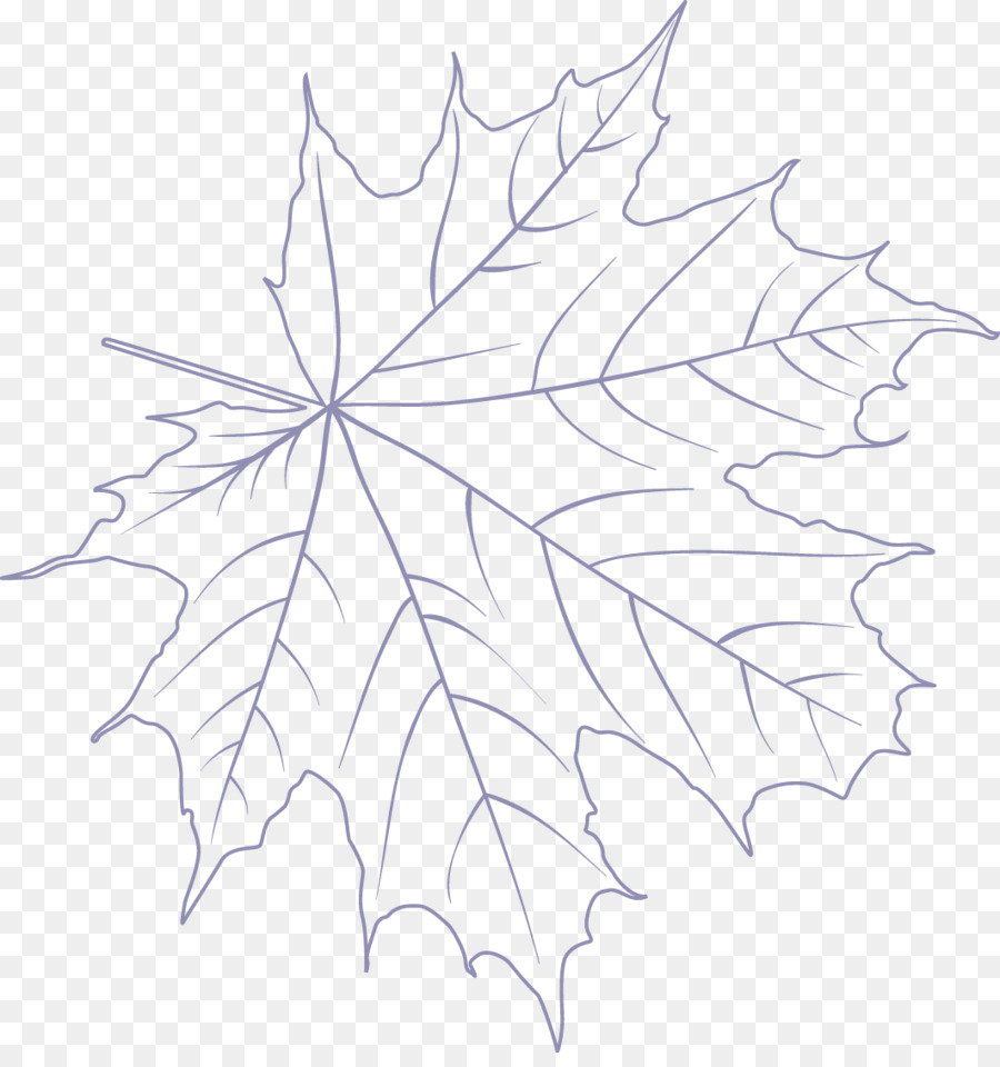 Feuille D'érable，Contour PNG