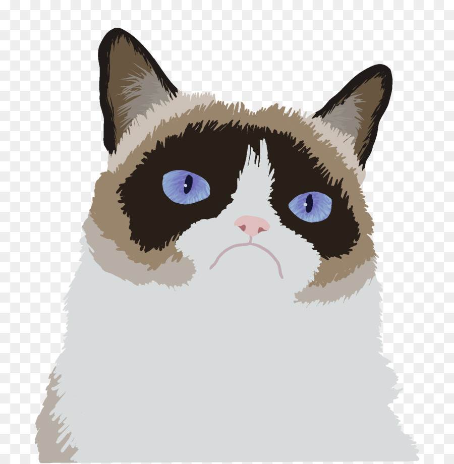 Chat，Chat Grincheux PNG