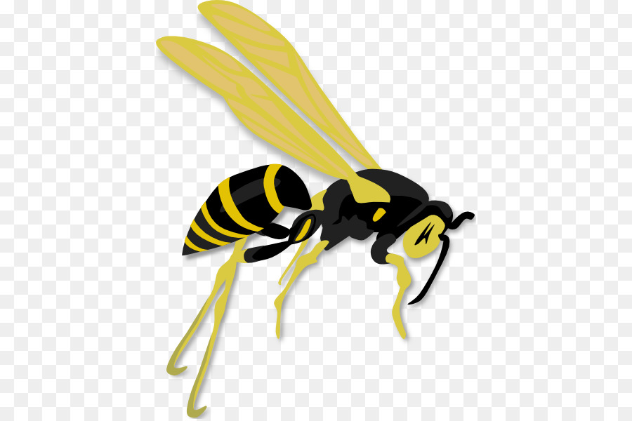 Abeille，Miel PNG