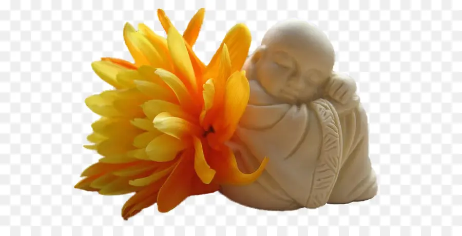 Statue De Bébé Endormi，Fleur PNG