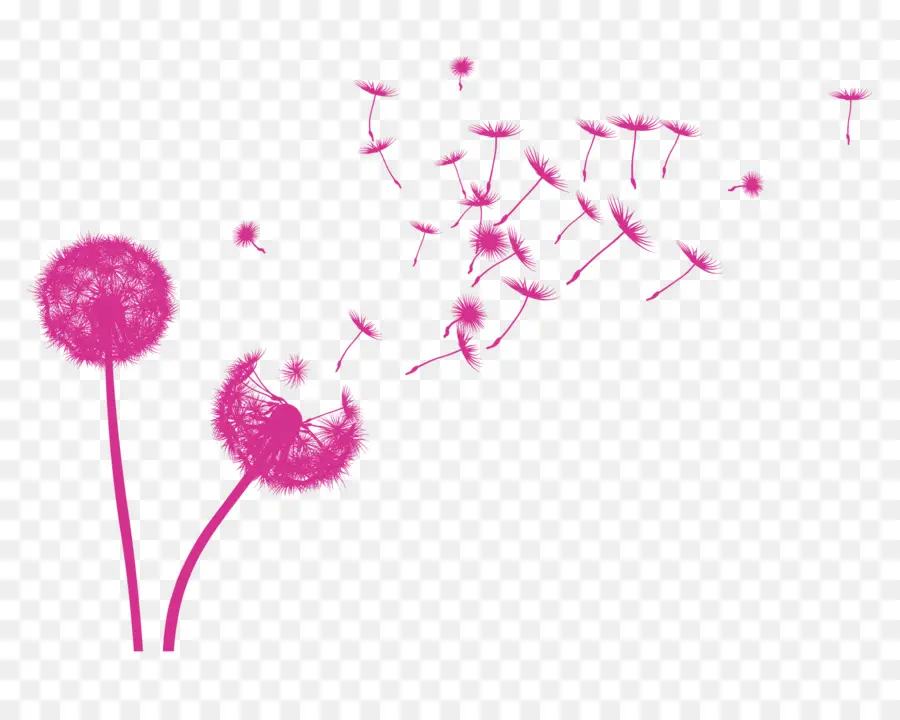 Pissenlits，Fleurs PNG