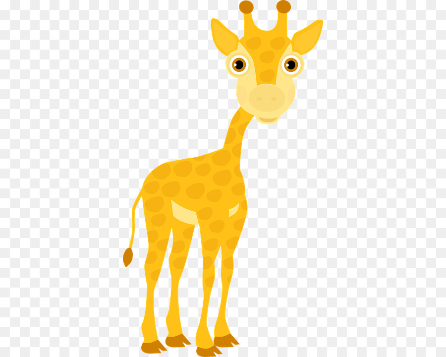 Girafe De Dessin Animé，Mignon PNG