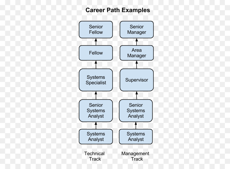 Analyste De Systèmes，Organisation PNG