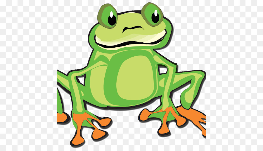 Grenouille Verte De Dessin Animé，Animal PNG