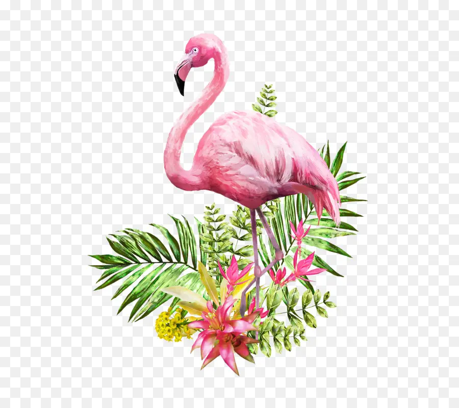 Flamingo，Peinture à L Aquarelle PNG
