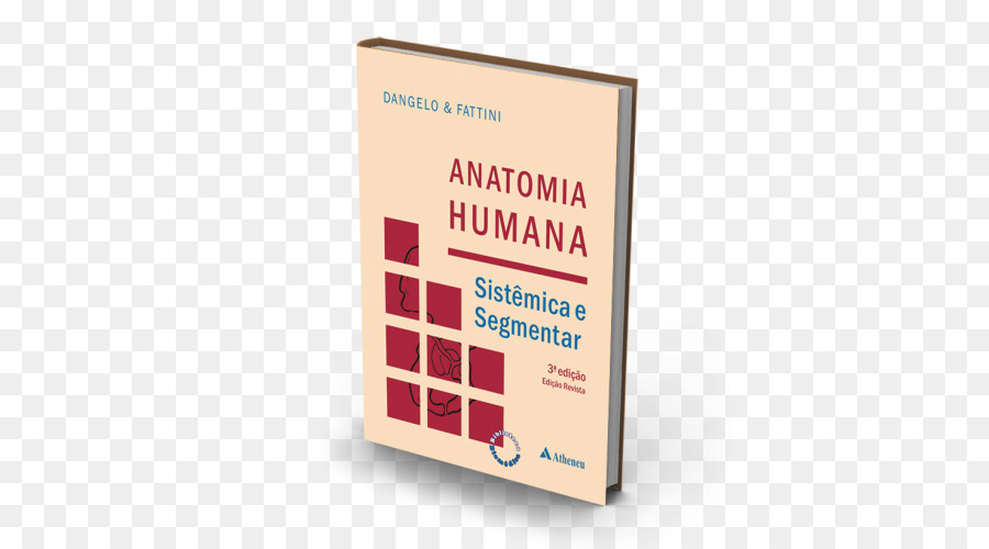Anatomie Humaine De La Systémique Et De La Cible Pour Les étudiants De Médecine，Anatomie PNG