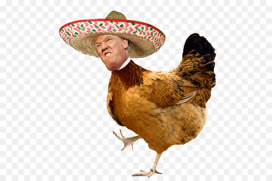 Poulet à Tête Humaine，Sombrero PNG