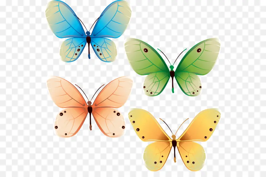 Papillons Verts，Nature PNG