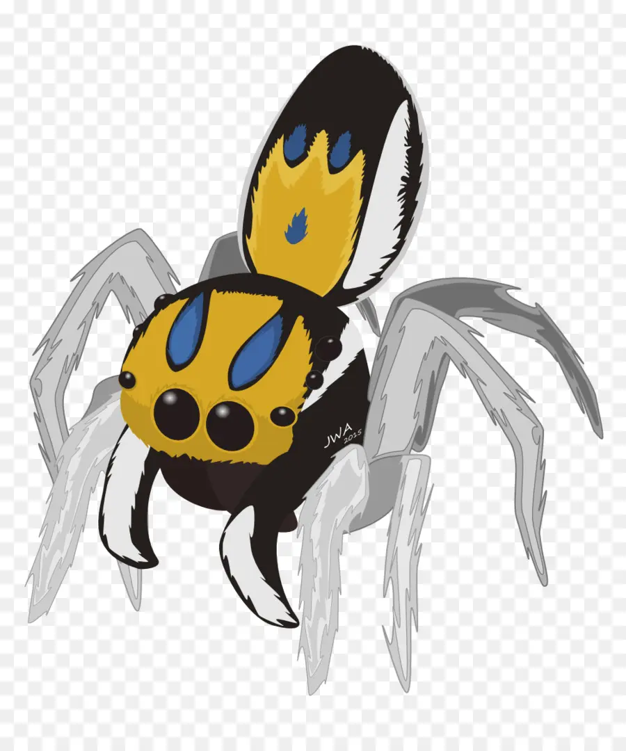 Araignée De Dessin Animé，Insecte PNG