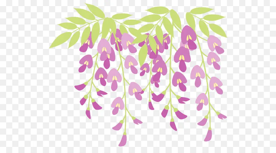 Fleurs，Violet PNG