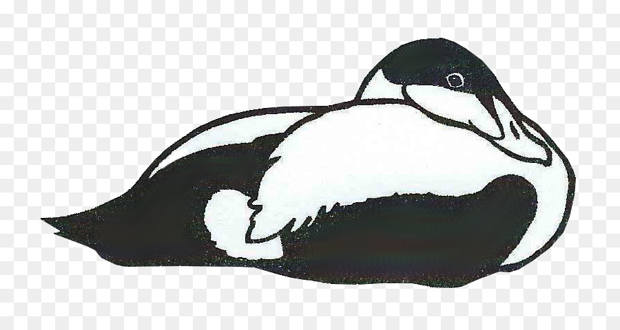 Canard，Pingouin PNG