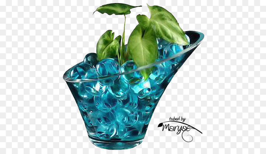 Plante Dans Un Vase En Verre，Décoration PNG