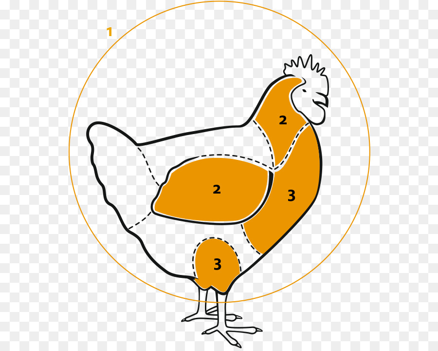 Poulet，Dessin Animé PNG