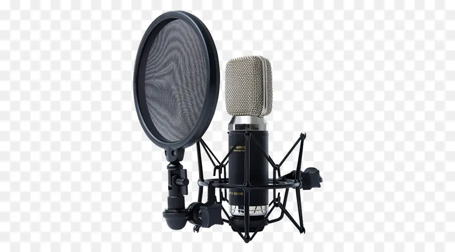 Microphone，Filtre Anti Pop PNG