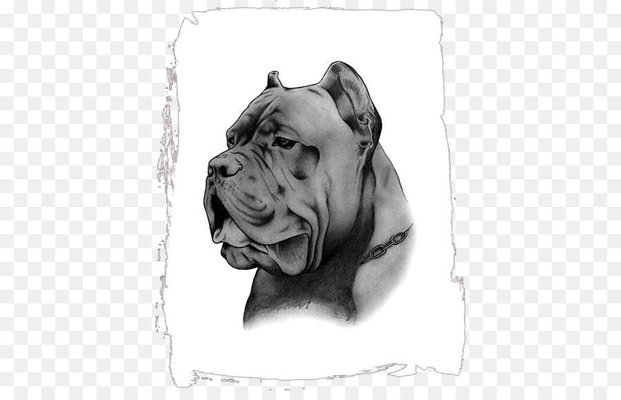 Cane Corso，Race De Chien PNG