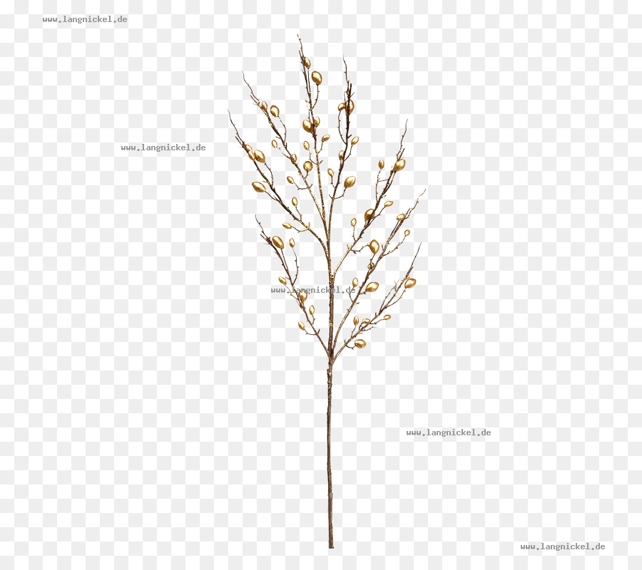 Branche D'or，Brindille PNG