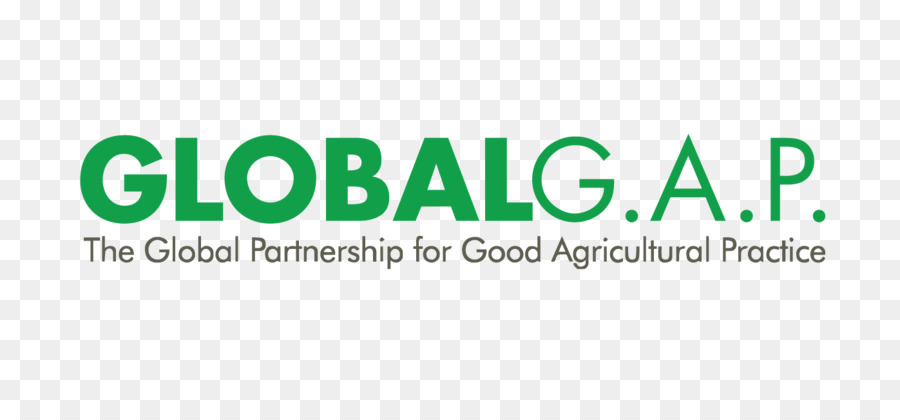 Globalg A P Logo，Mondial PNG