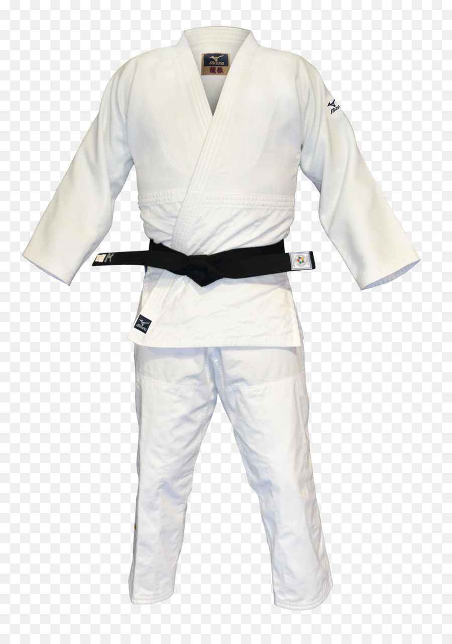 Gi De Judo Bleu，Arts Martiaux PNG