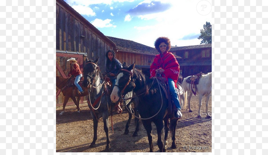 Mule，Mustang PNG