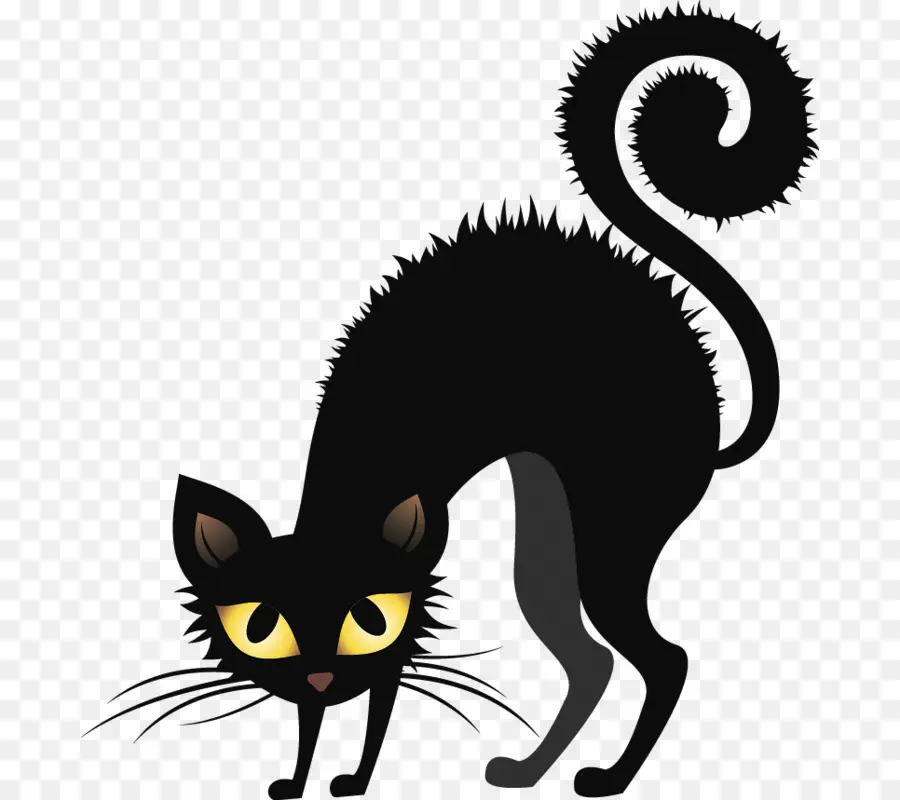 Chat，Chat Noir PNG