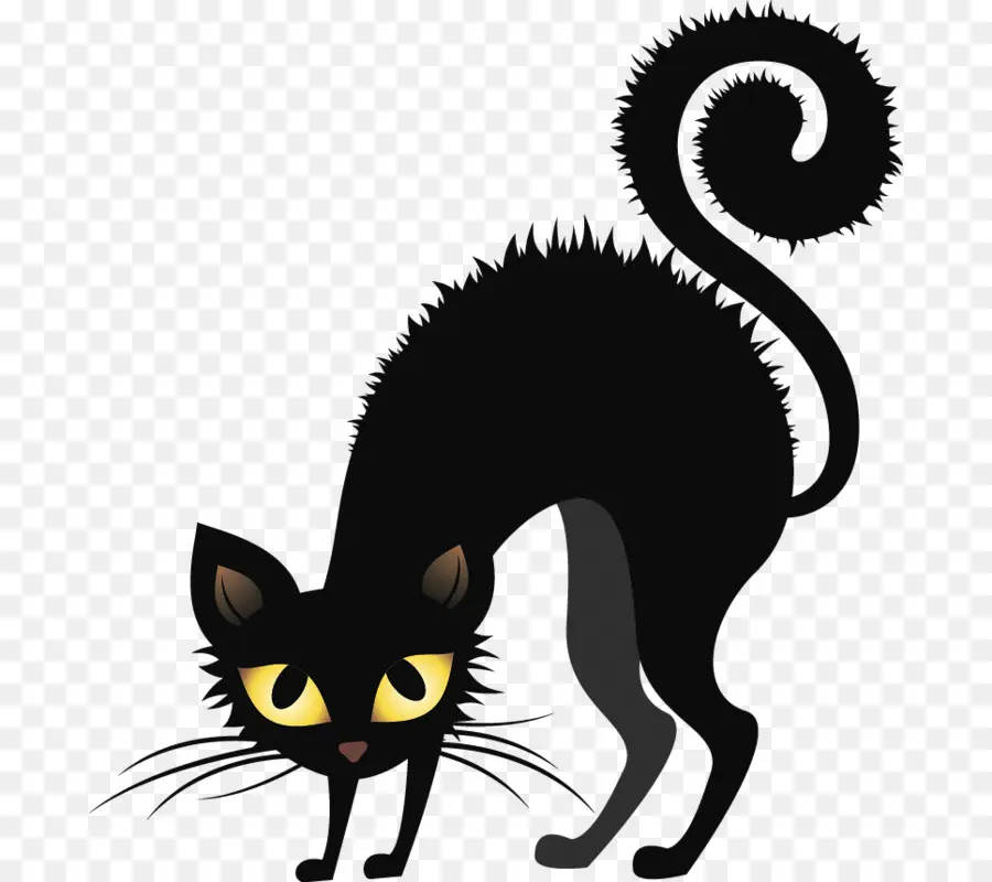 Chat Noir，Halloween PNG