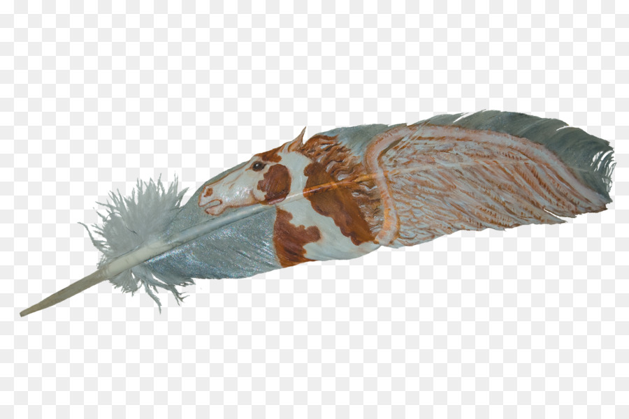 Plume，Peint PNG