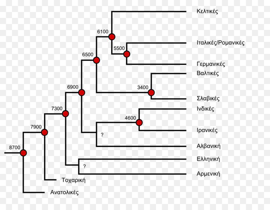 Arbre Phylogénétique，Évolution PNG