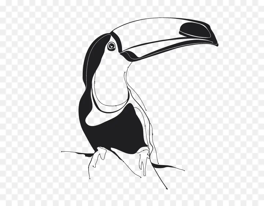 Toucan，Oiseau PNG