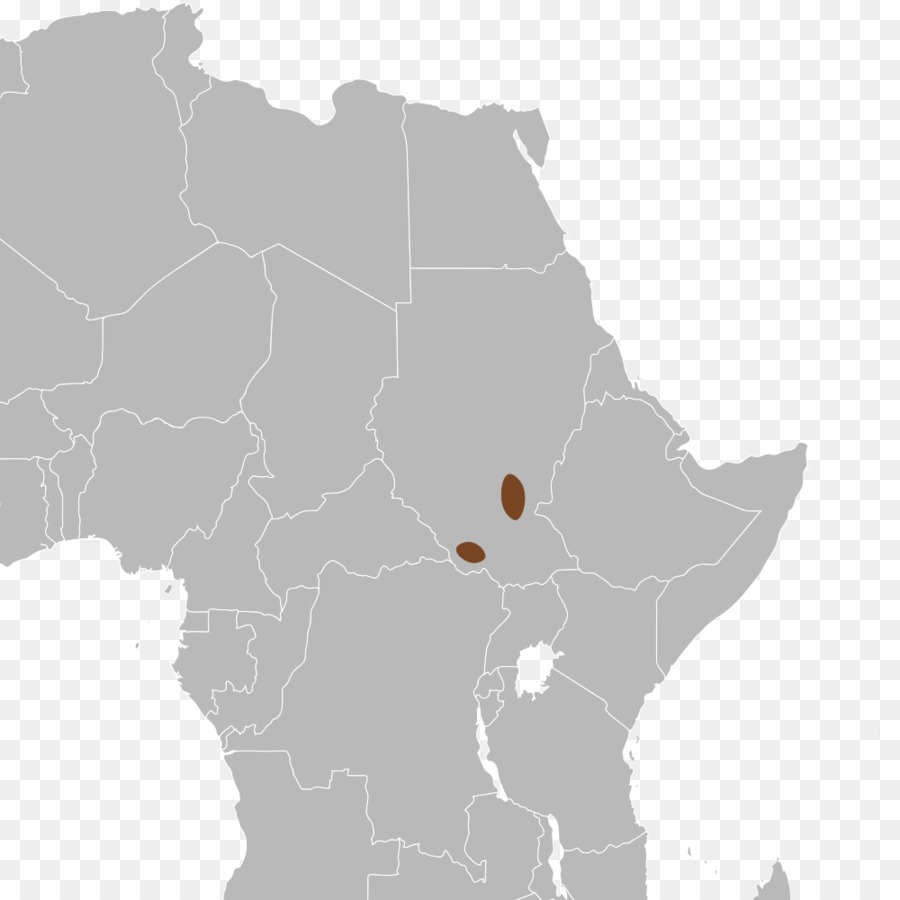 Carte，L Afrique Du Sud PNG