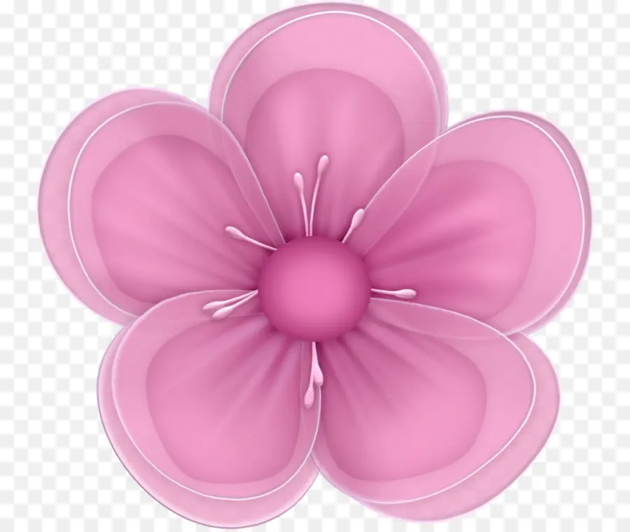 Fleur Rose，Fleur PNG