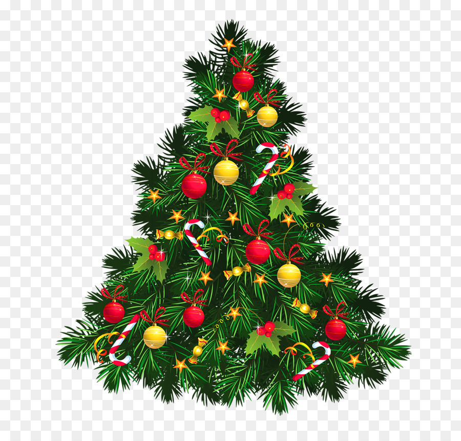 Arbre De Noël，Pin PNG