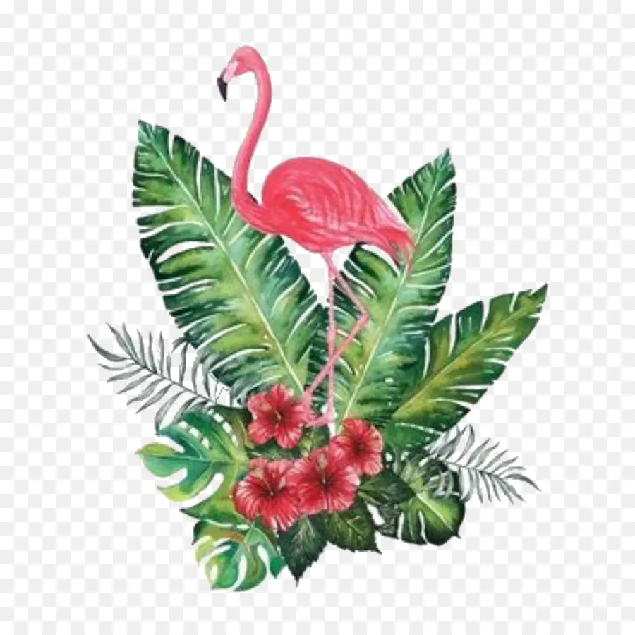 Flamingo，Peinture à L Aquarelle PNG